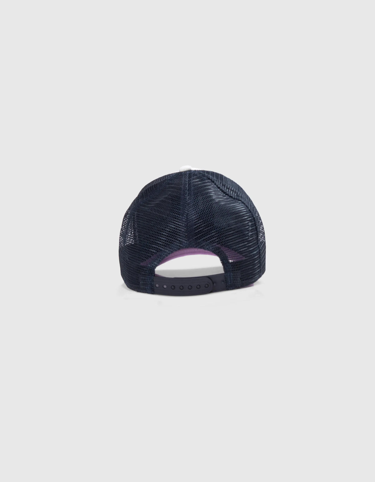 Purple White