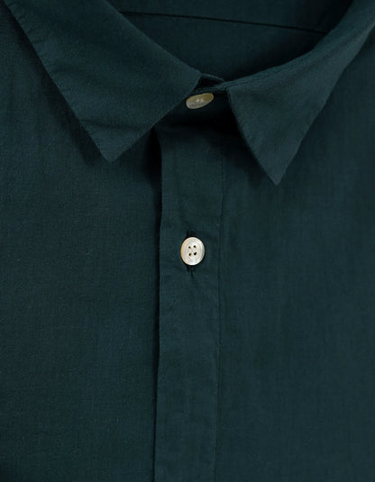 Petrol Green