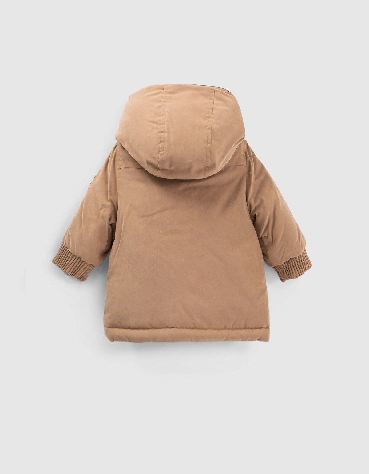 Camel