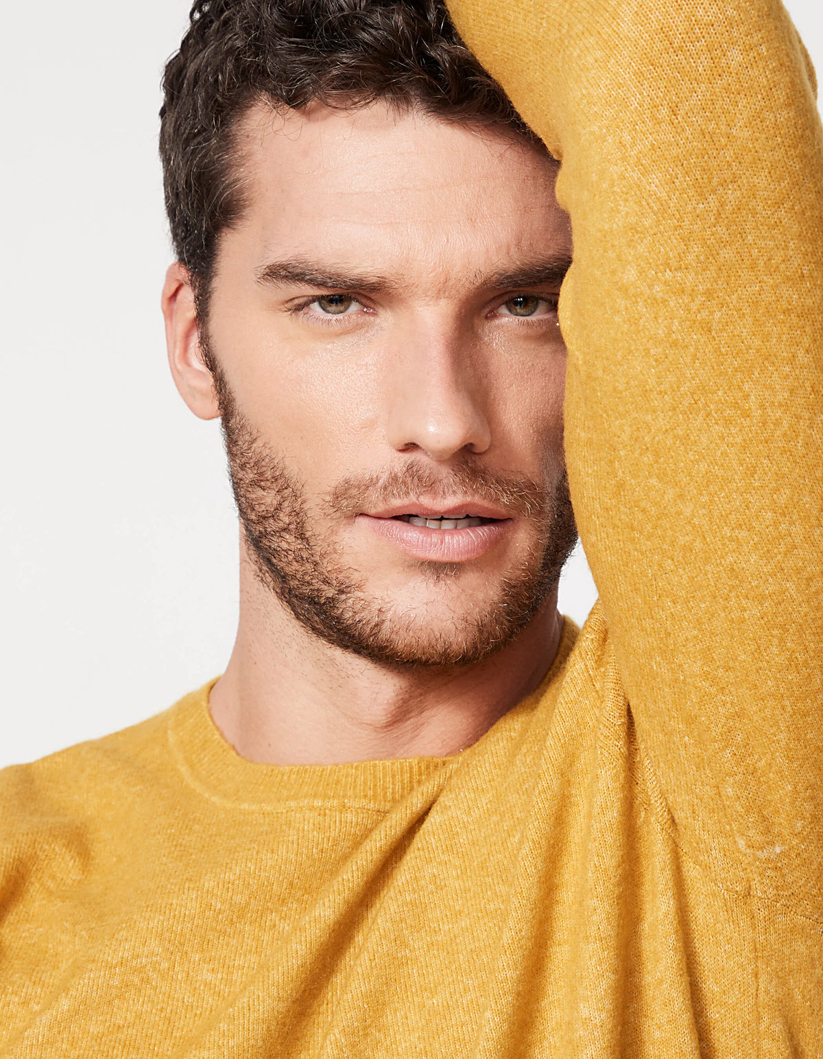 Ochre Yellow