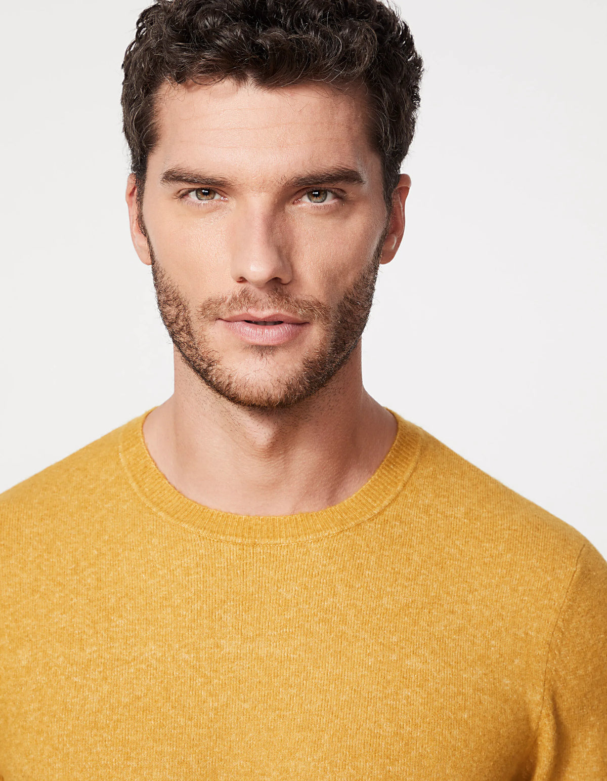 Ochre Yellow