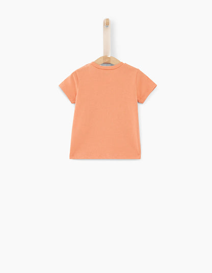 Terracotta